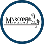 Marconi Stallions - Player Cameron Windust 819264 298687 Live Result