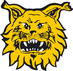 Ilves Tampere - Player Marius Soderback 1004065 300267 Live Result