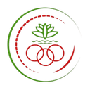 Khelaghar Samaj Kalyan Samiti - Wanderers VS Khelaghar Samaj Kalyan Samiti Live Score Today