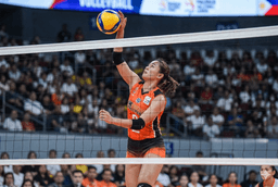 Understanding PVL Roster Size Limits - News
