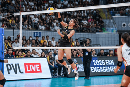 Top Apps Revolutionizing PVL Fan Communities in 2026 - News