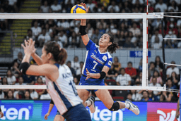 Best PVL Mobile Apps for Live Scores and Game Alerts - News