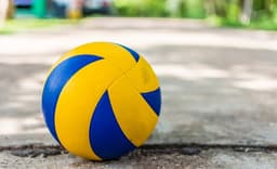 Curious About The Women's Volleyball Match Schedule? Here's A Fan Guide - News