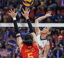 live score, sport predictions, fixtures and odds