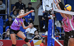 live score, sport predictions, fixtures and odds